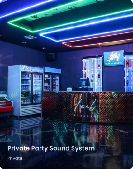 Private Party Sound System